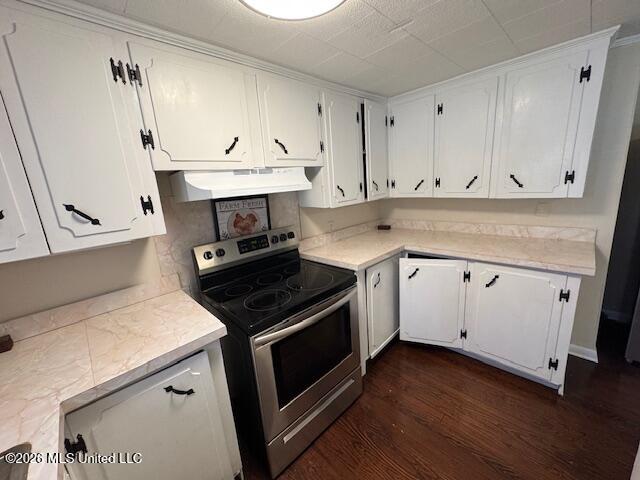 14191 Ms-563 — photo