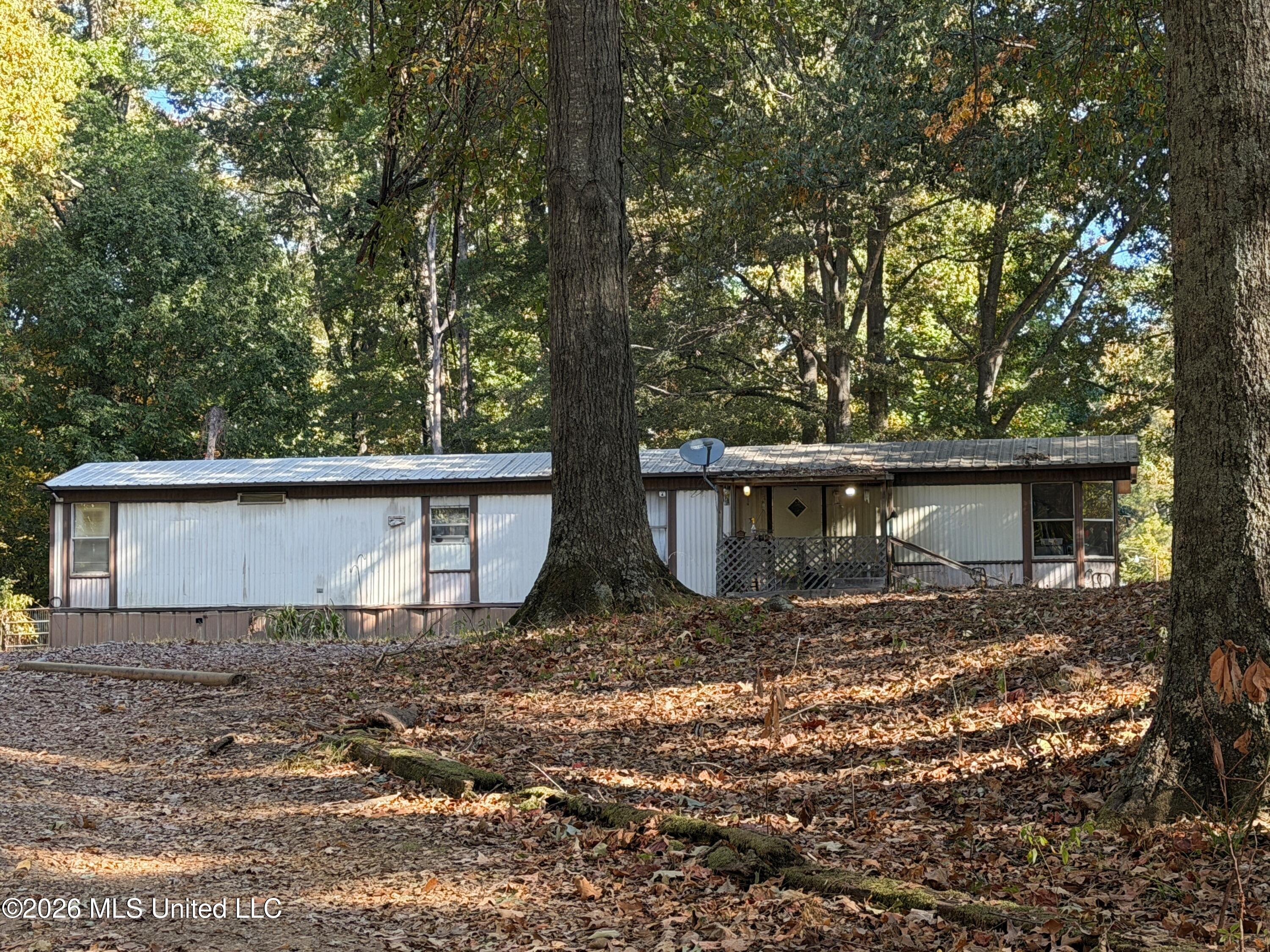 11286 Black Bear Cove — photo