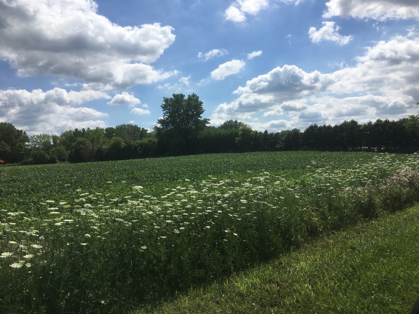 Lot1 and Lot1A Koppie Road — photo
