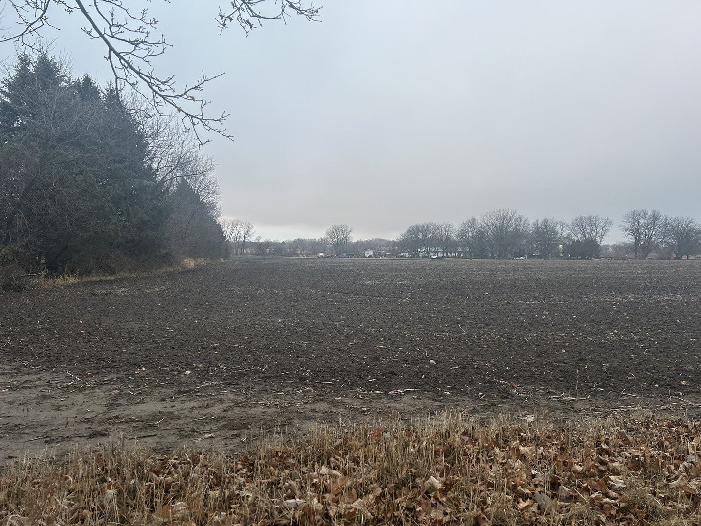 Lot 230001 Galligan Road — photo