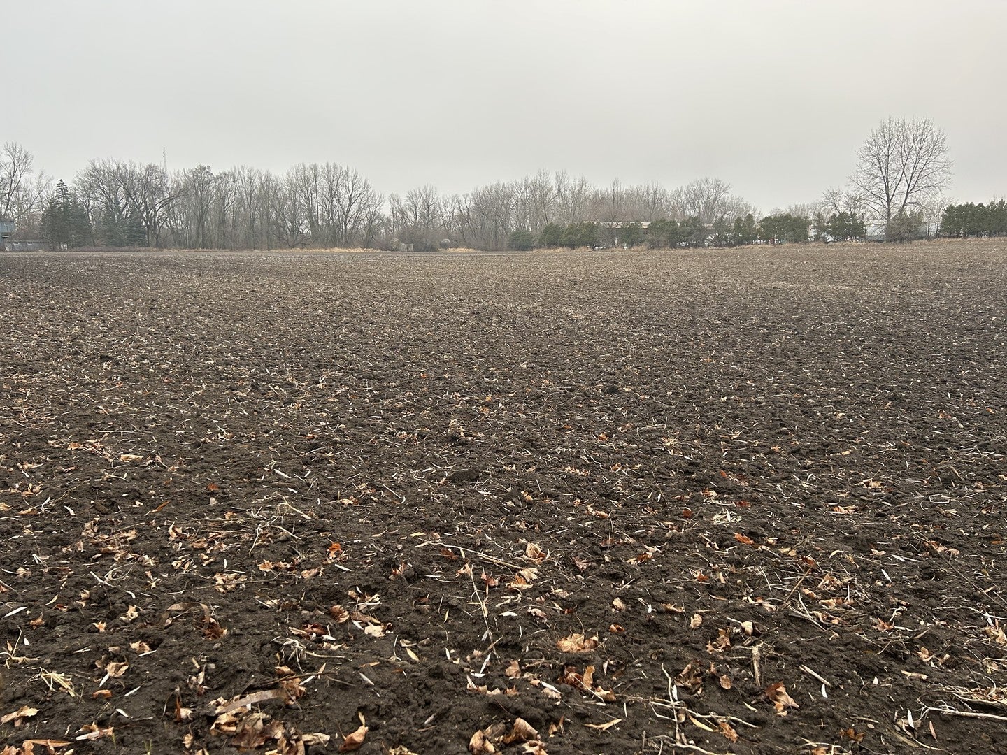 Lot 499001 Galligan Road — photo