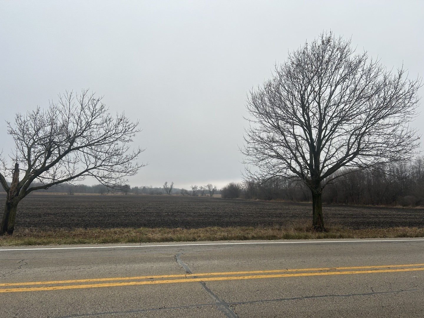 Lot 277033 Galligan Road — photo