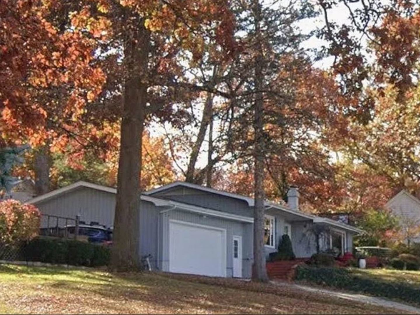 4 Forest Knolls — photo