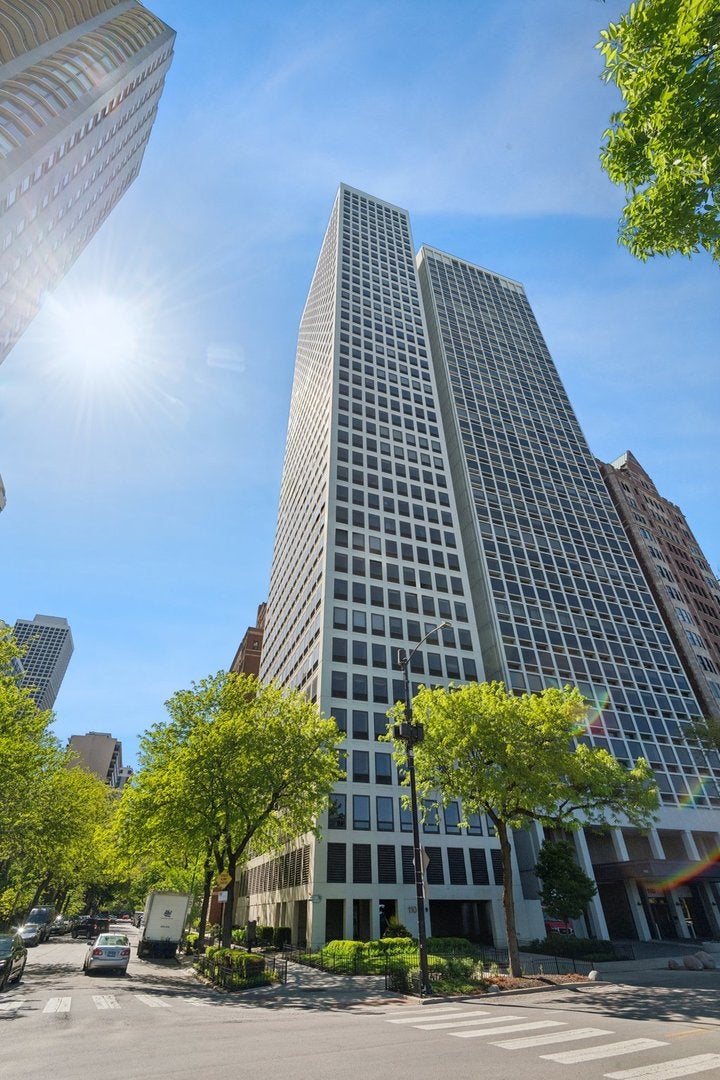 1100 N Lake Shore Drive 15B — photo