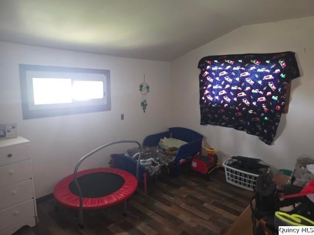 212 E Douglas, Sciota, IL 61475 — photo 2