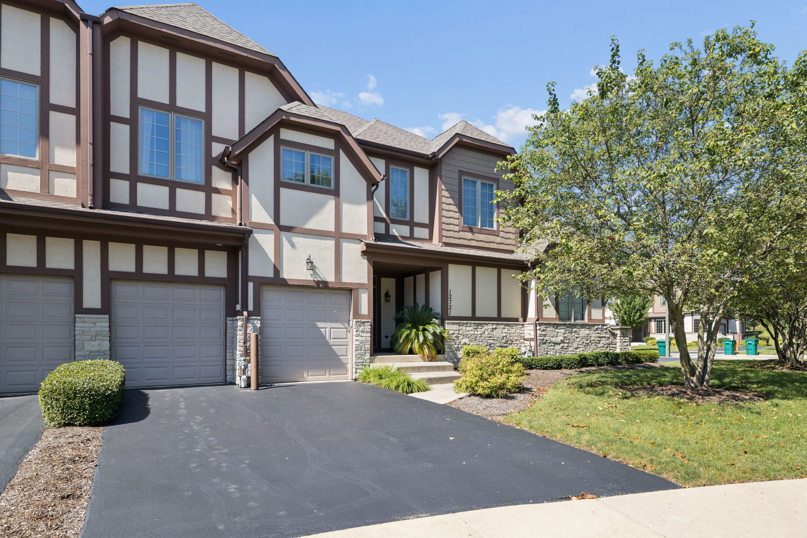 12721 Wild Rye Court C — photo