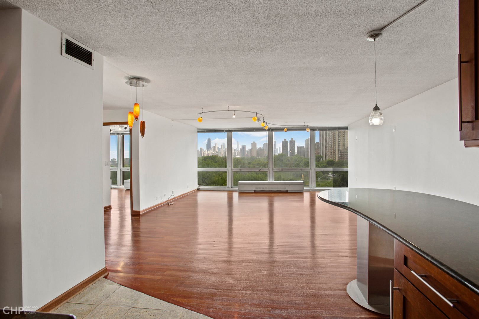 330 W Diversey Parkway 807-809 — photo 3