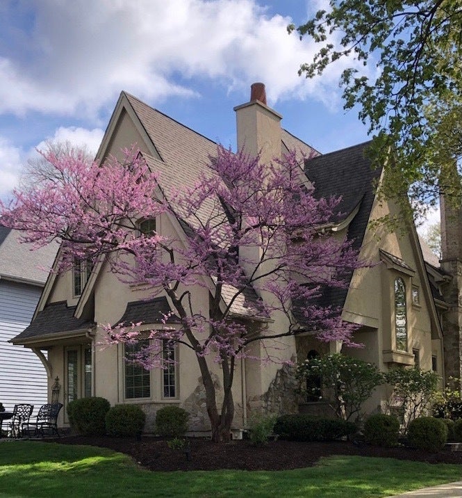 706 N Ellsworth Street — photo