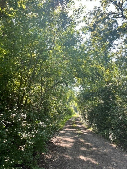 3S756 Route 59 — photo