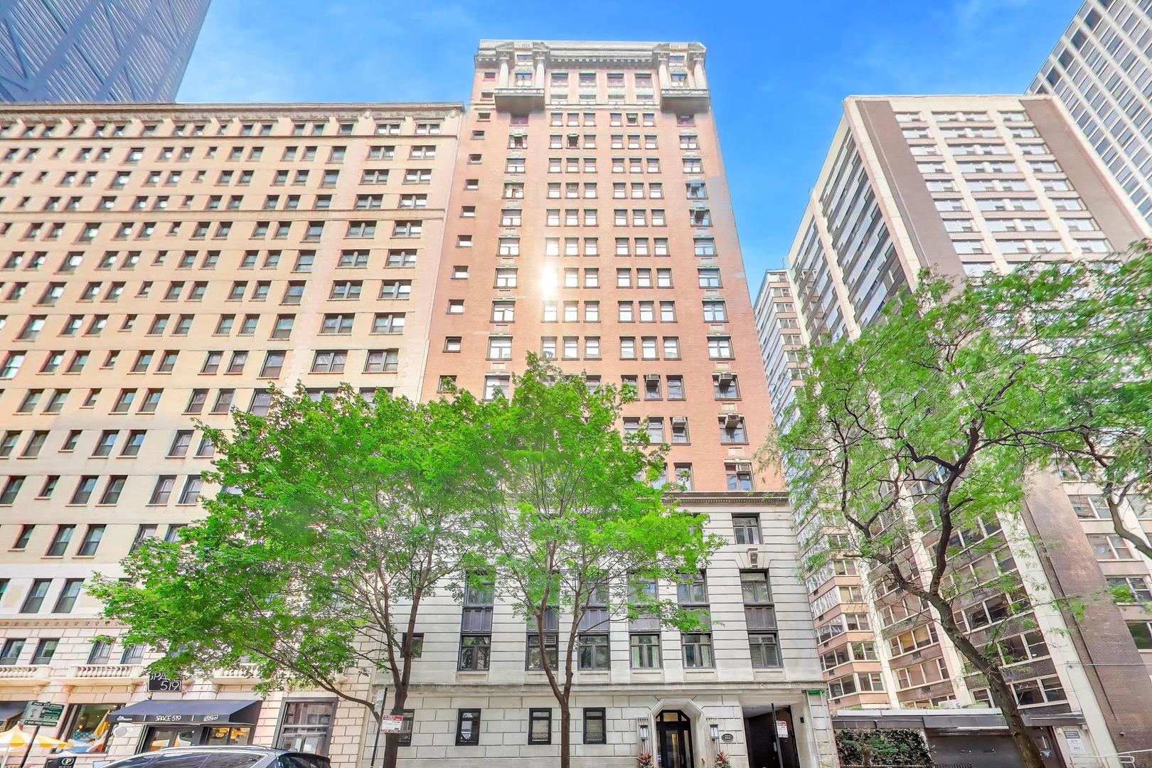 222 E Chestnut Street 9D — photo