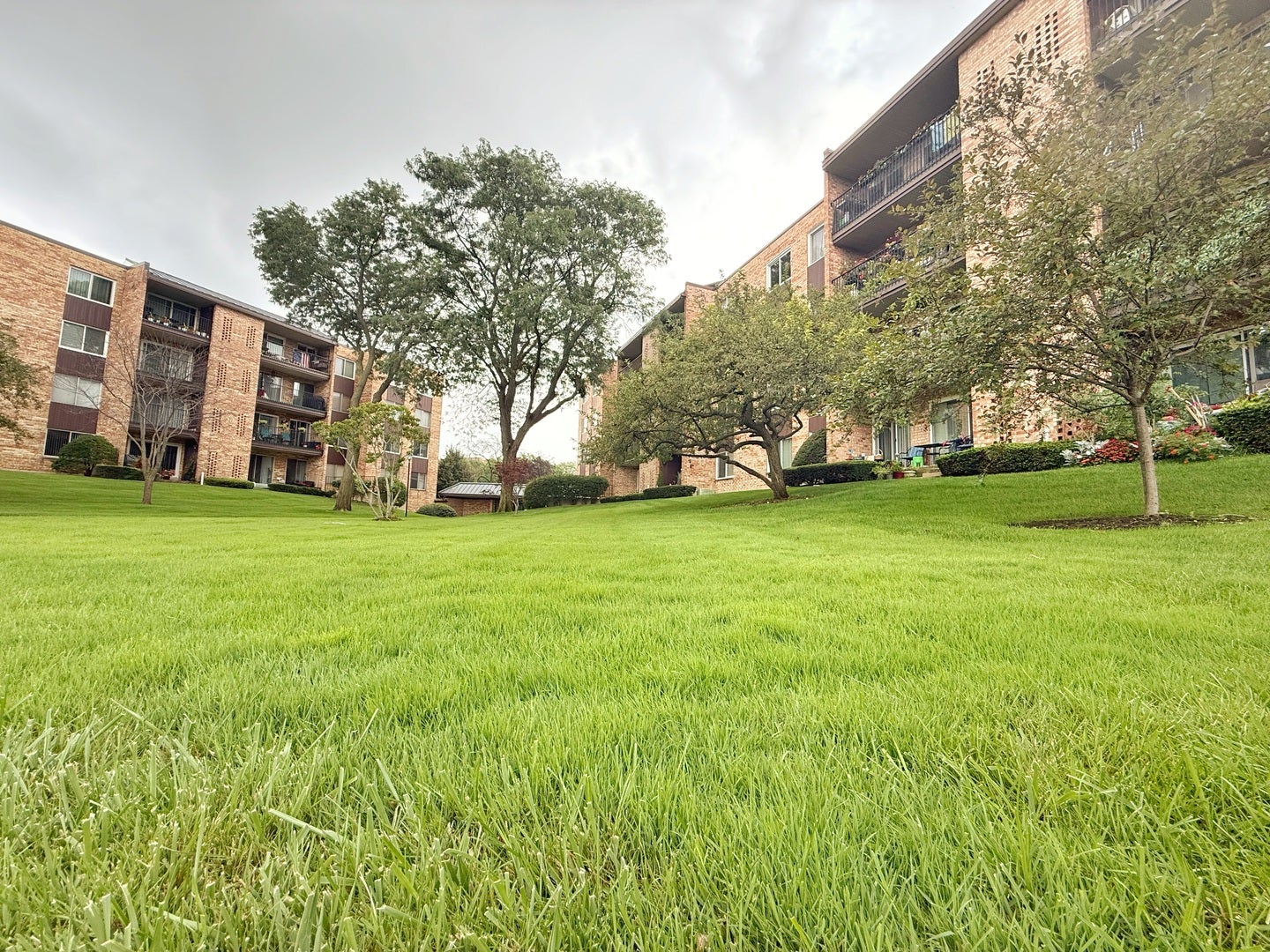 502 W Huntington Commons Road 438 — photo