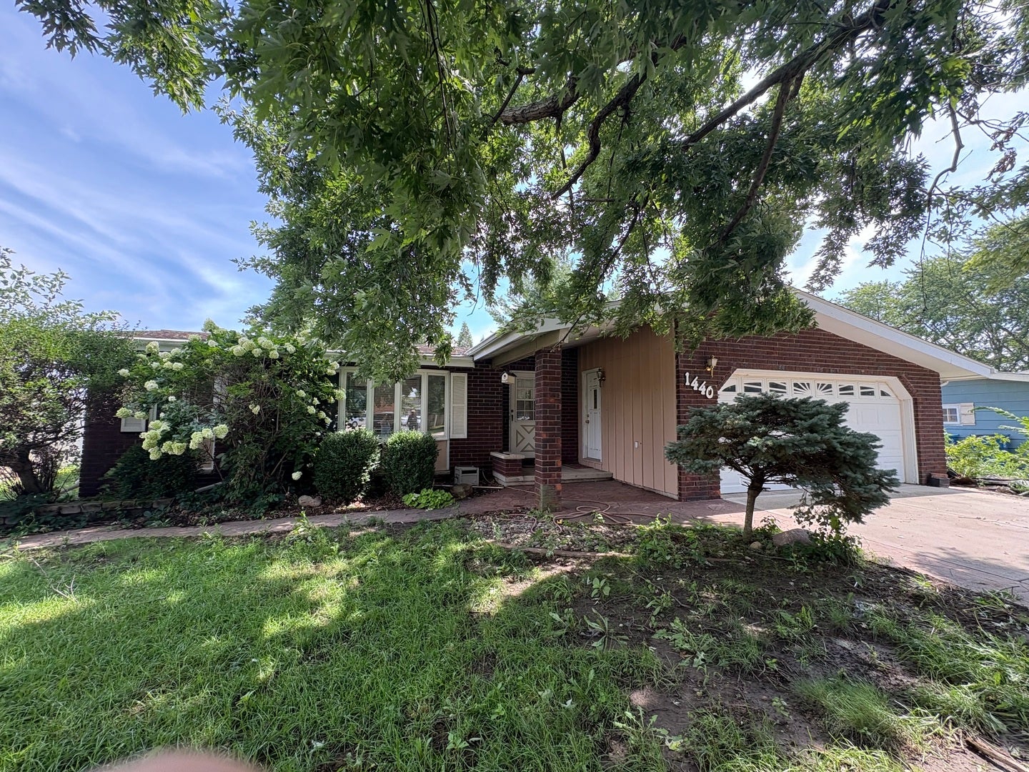 1440 Catherine Street — photo