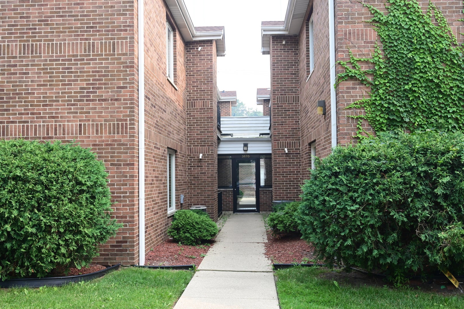 5805 W Eddy Street 1D — photo