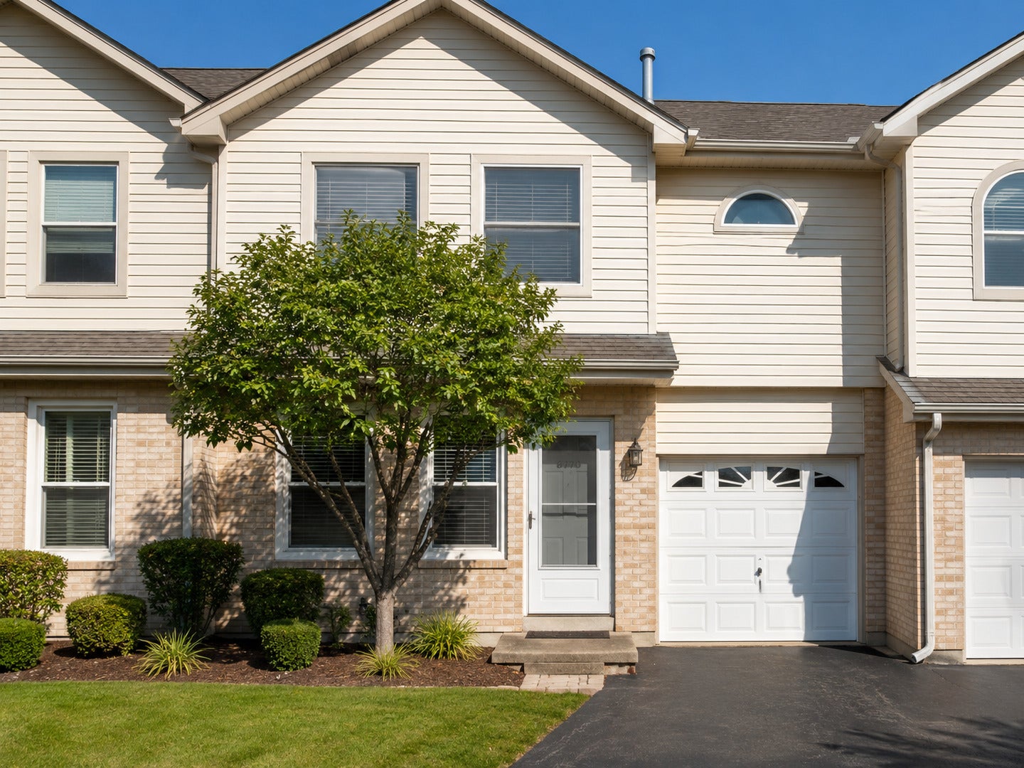 8528 Thomas Charles Lane 8528 — photo