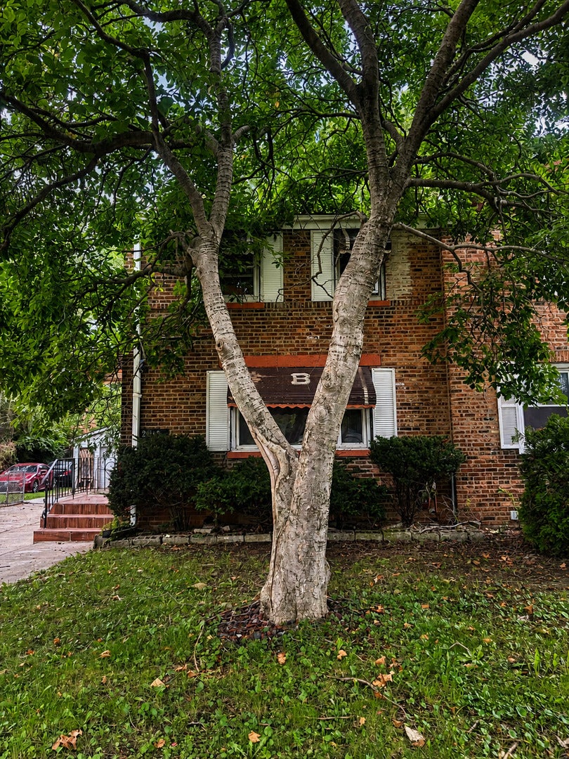 2108 E 95th Place — photo