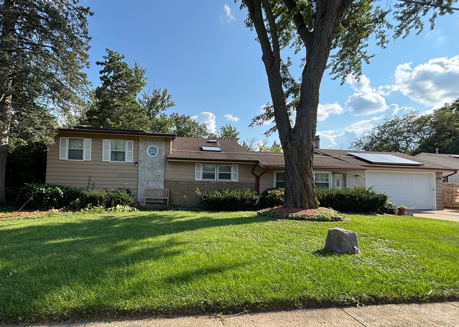 11 W Palatine (Frontage) Road — photo