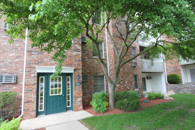 4316 W Shamrock Lane 2D — photo
