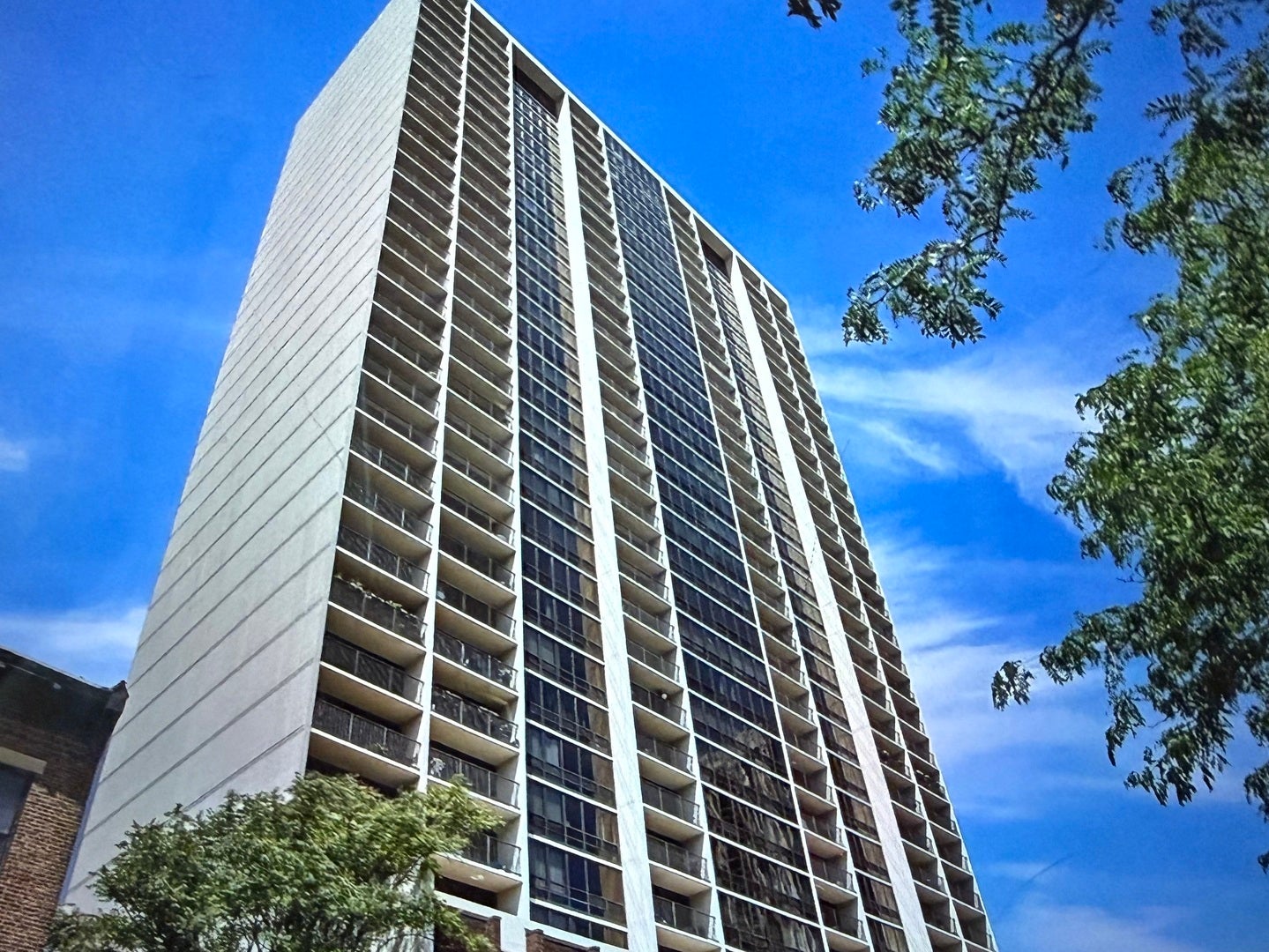 1636 N Wells Street 3103 — photo