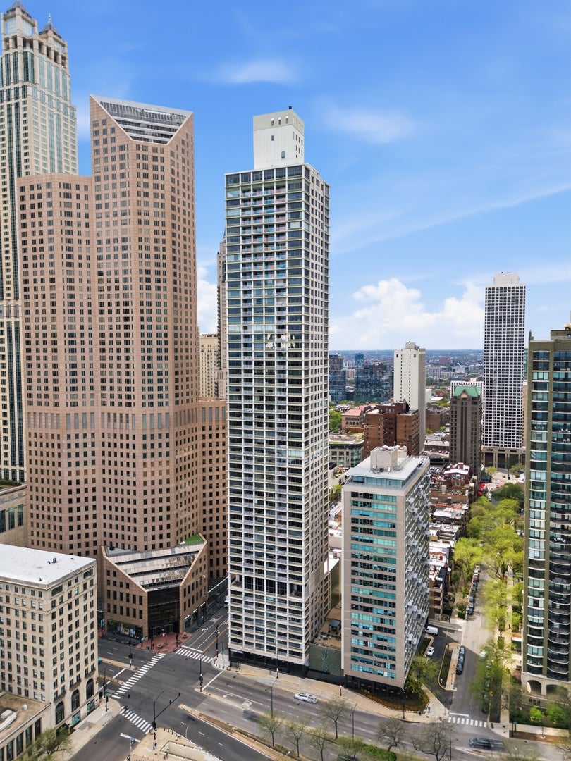 1000 N Lake Shore Plaza 24C — photo