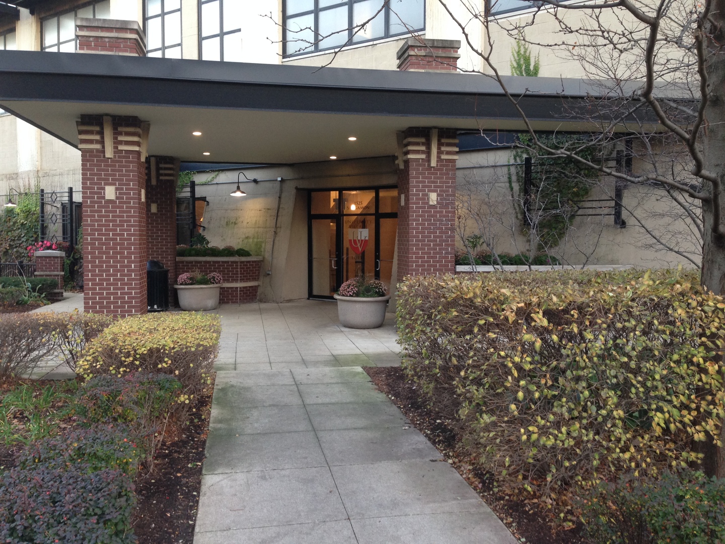 1525 S Sangamon Street 317-P — photo