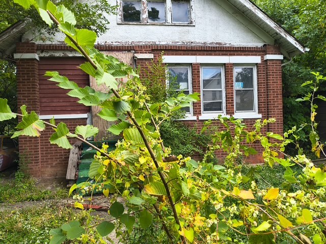 15727 Turlington Avenue — photo