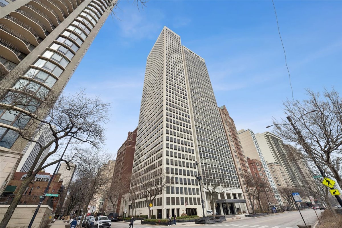 1100 N Lake Shore Drive 7B — photo
