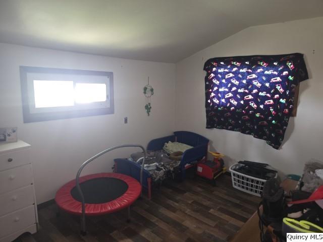 212 E Douglas, Sciota, IL 61475 — photo 2