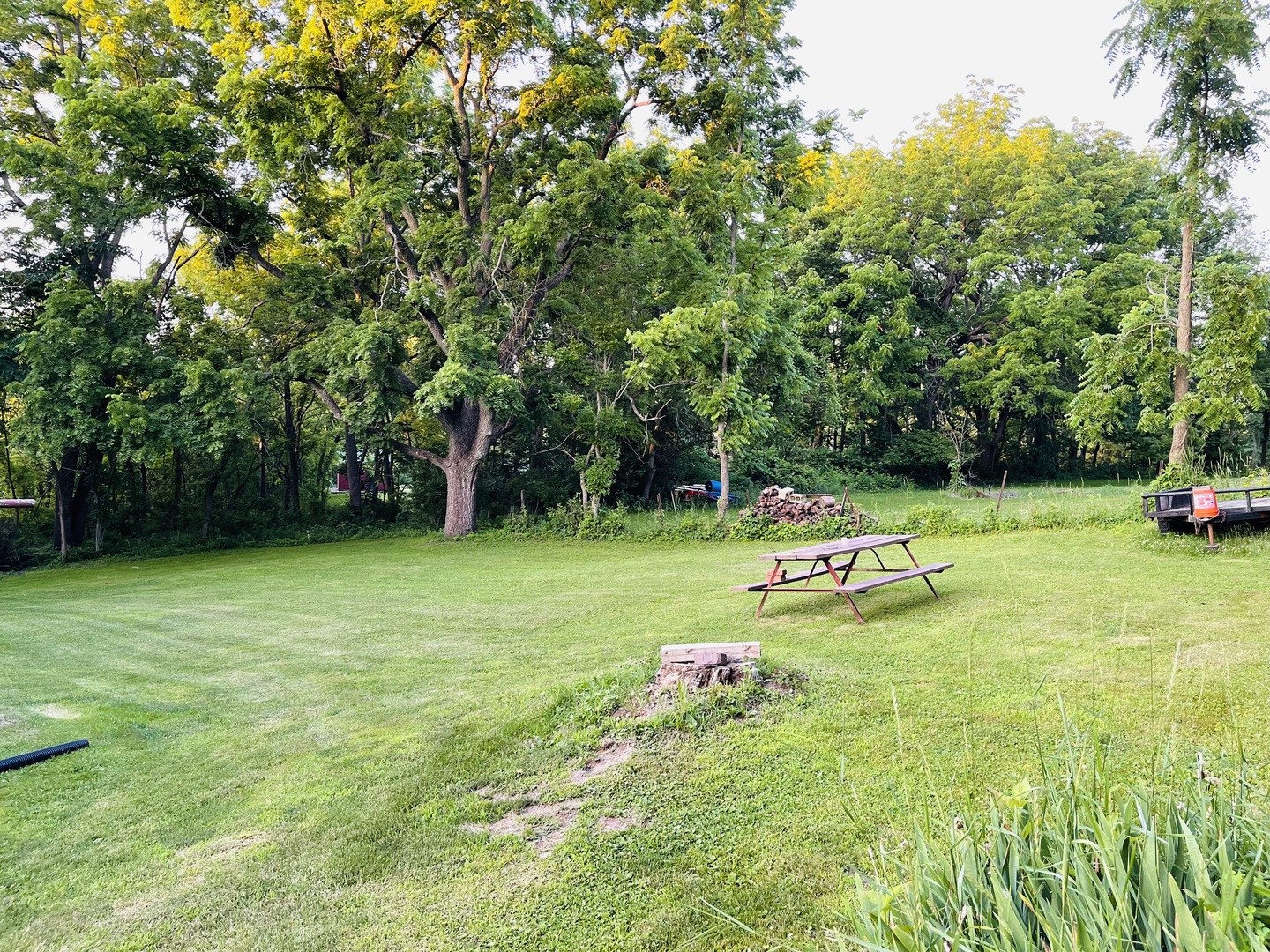 420 E 3rd Street, Spring Valley, IL 61362 — photo 3