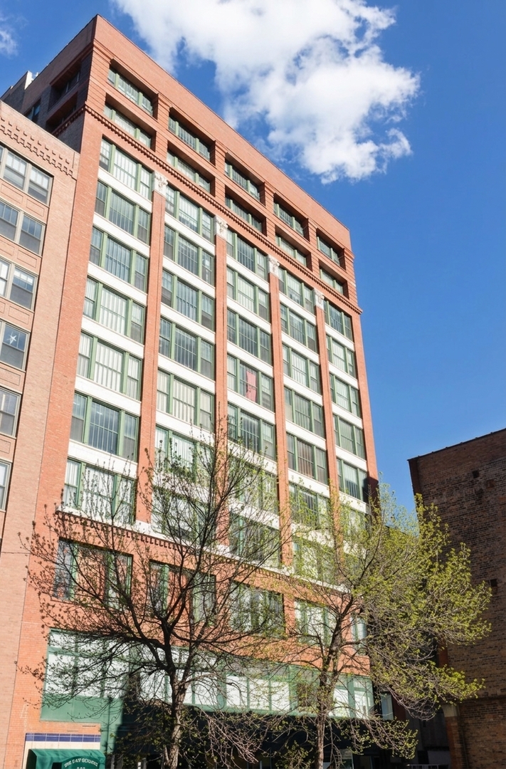 633 S Plymouth Court 1207 — photo