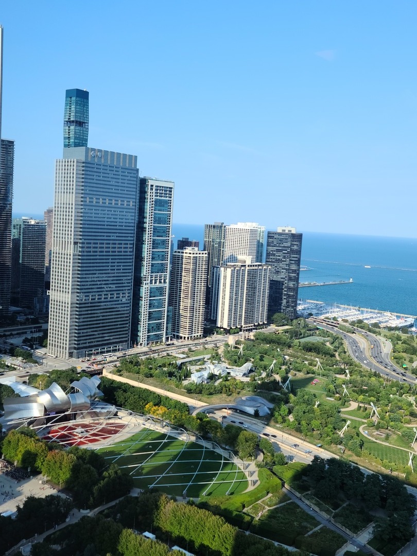 400 E Randolph Street #2NDFLOOR6B, Chicago, IL 60601 — photo 3