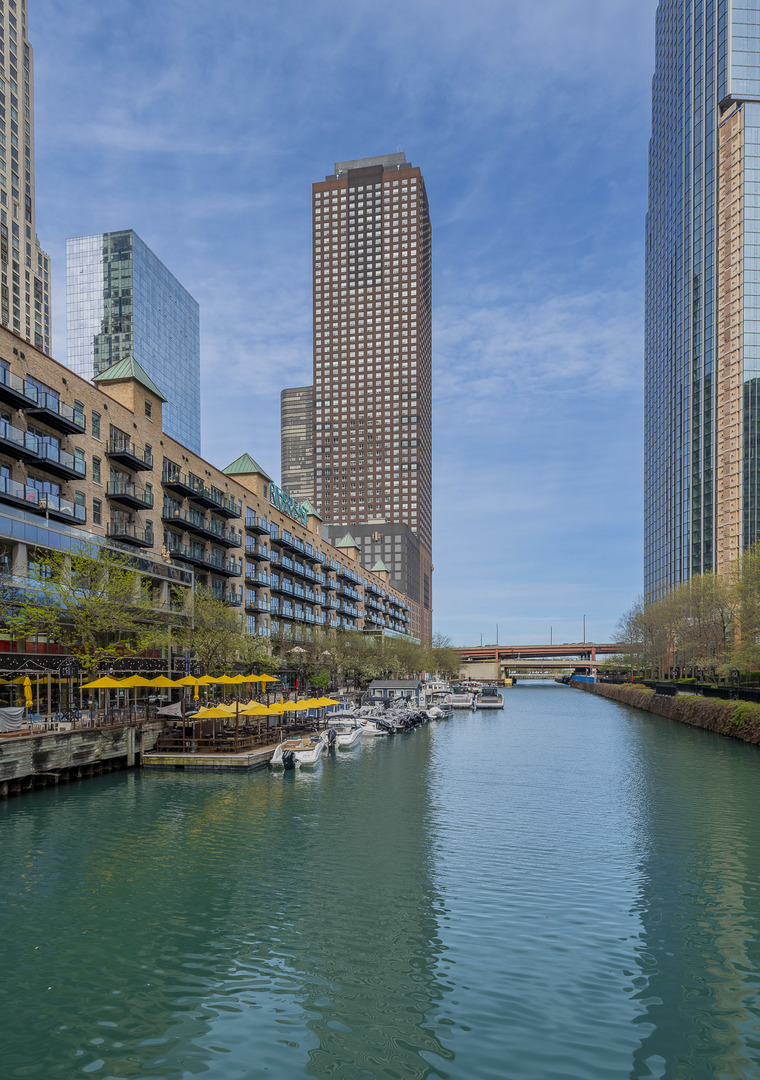 474 N Lake Shore Drive 2007 — photo