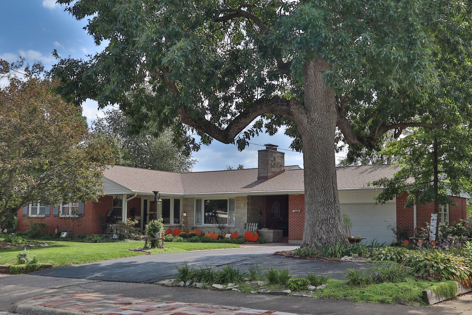2330 Oak Street — photo