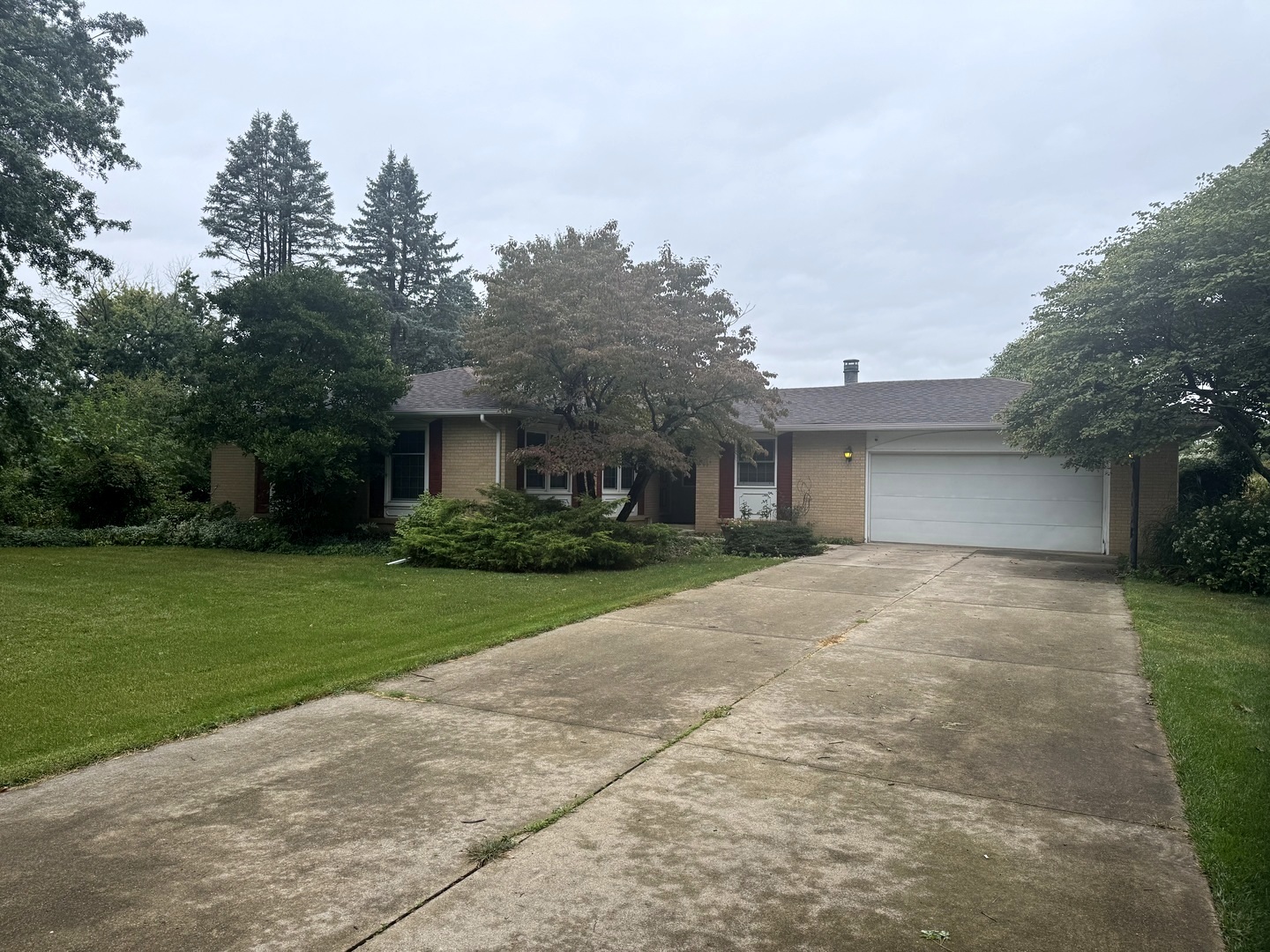 1641 Willow Way — photo