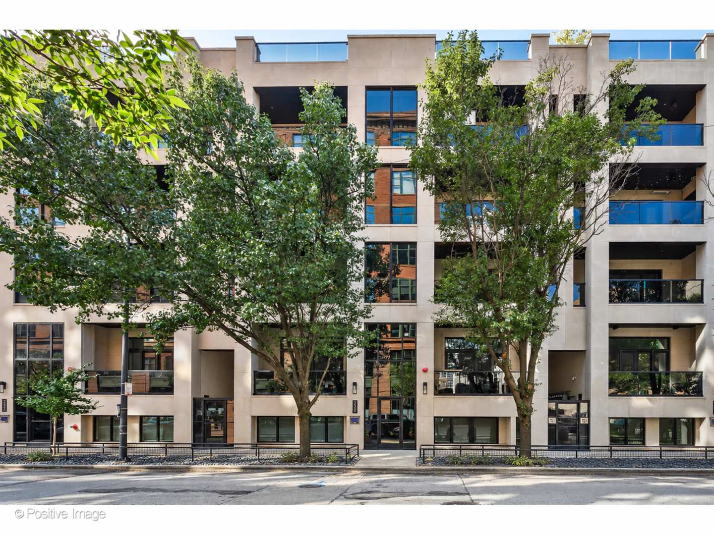 220 S Green Street 4S — photo