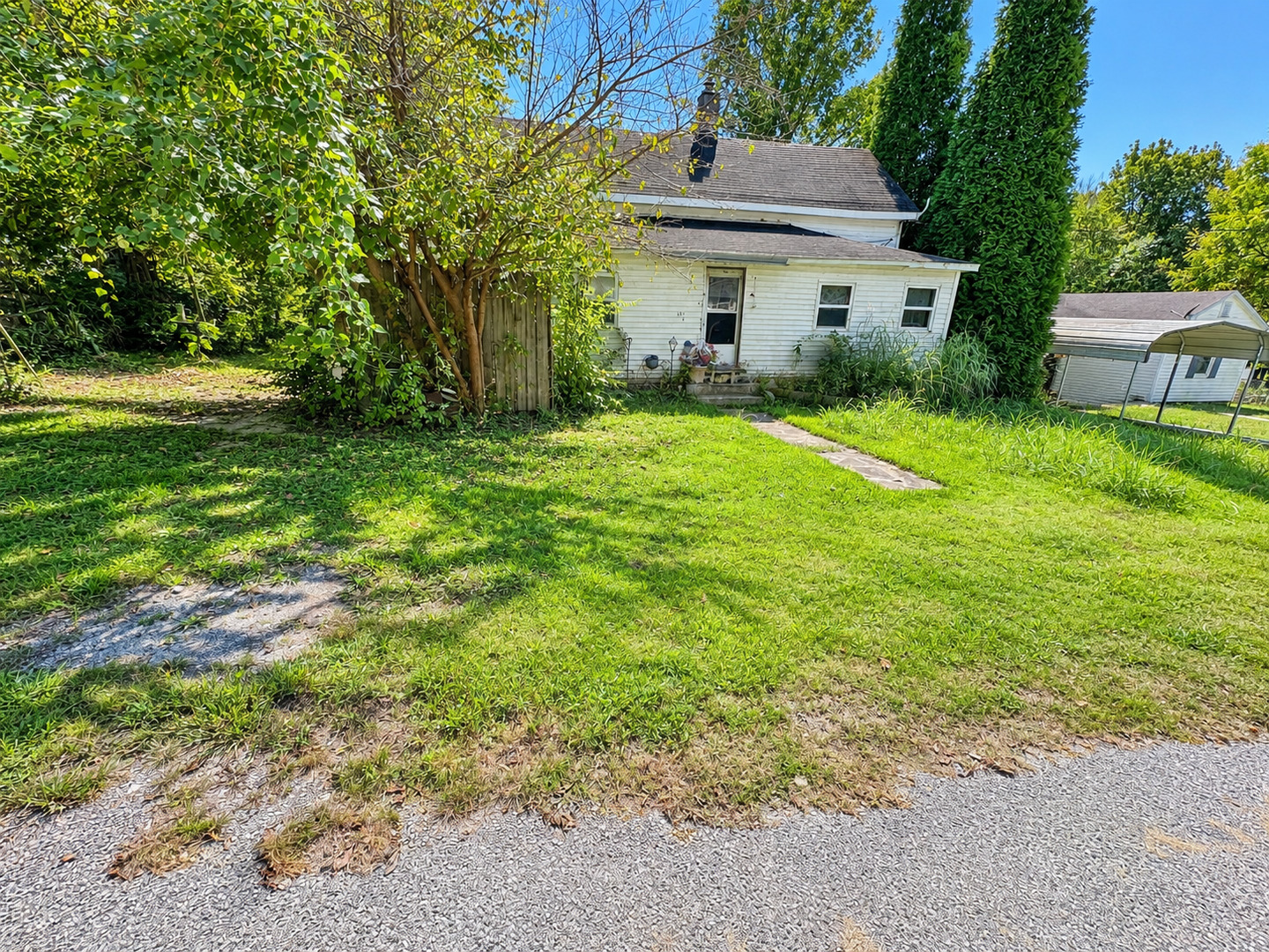 341 Mclean Street — photo