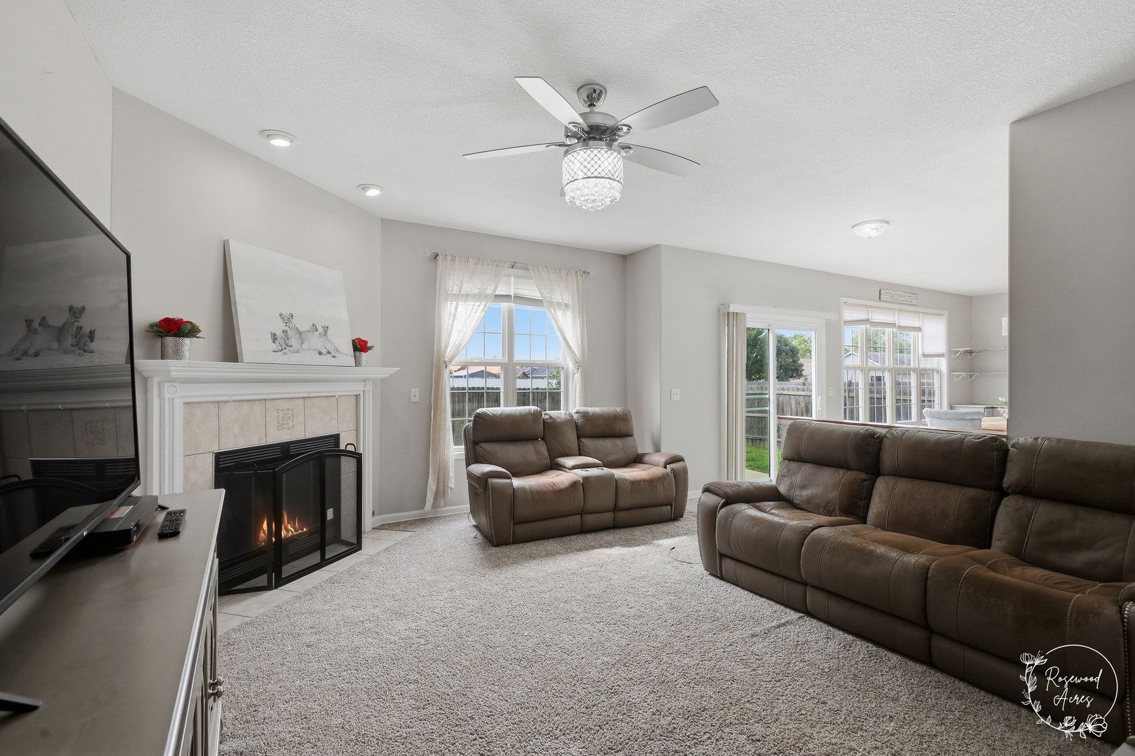 116 Diversatech Drive, Manteno, IL 60950 — photo 3