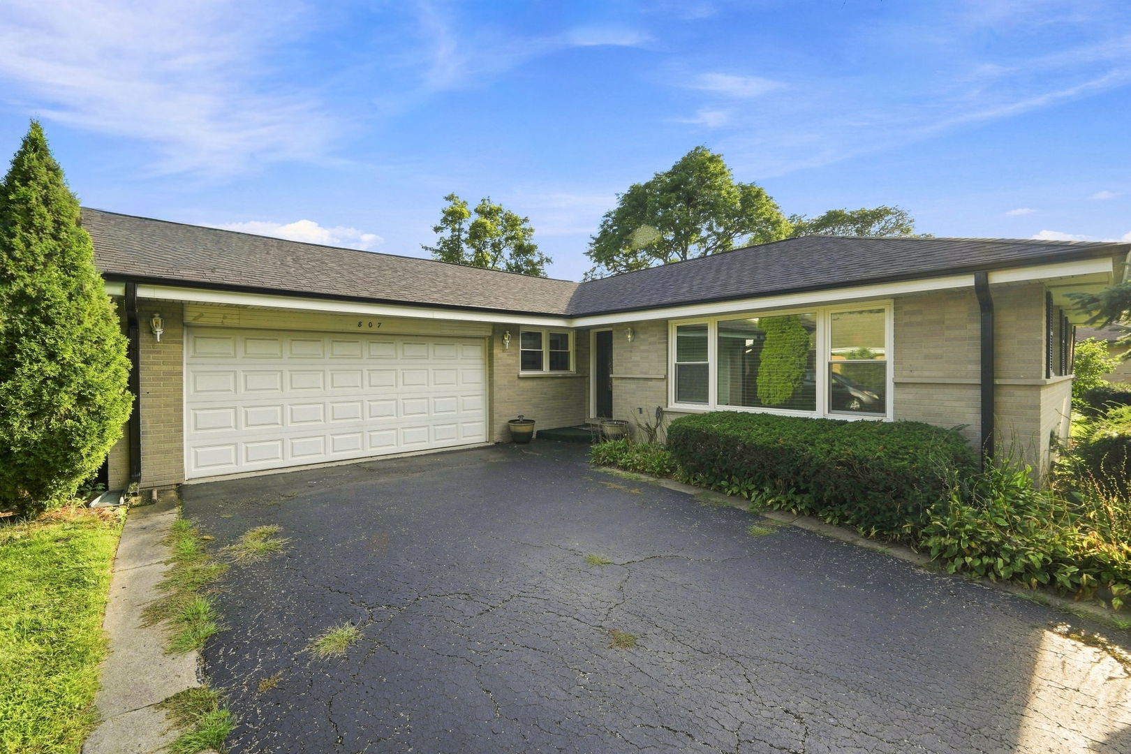 807 E Golfview Drive, Mount Prospect, IL 60056 — photo 3