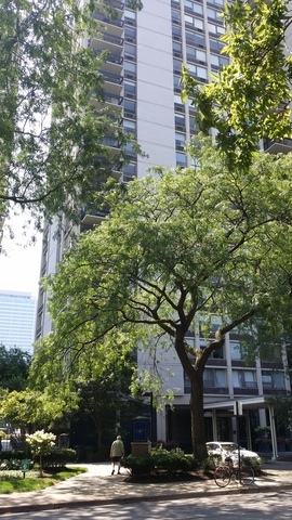 1360 N Sandburg Terrace Unit 2002C — photo