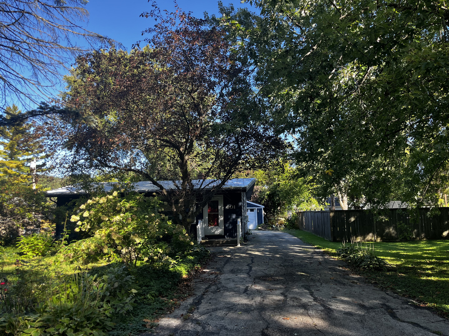 601 Locust Avenue — photo
