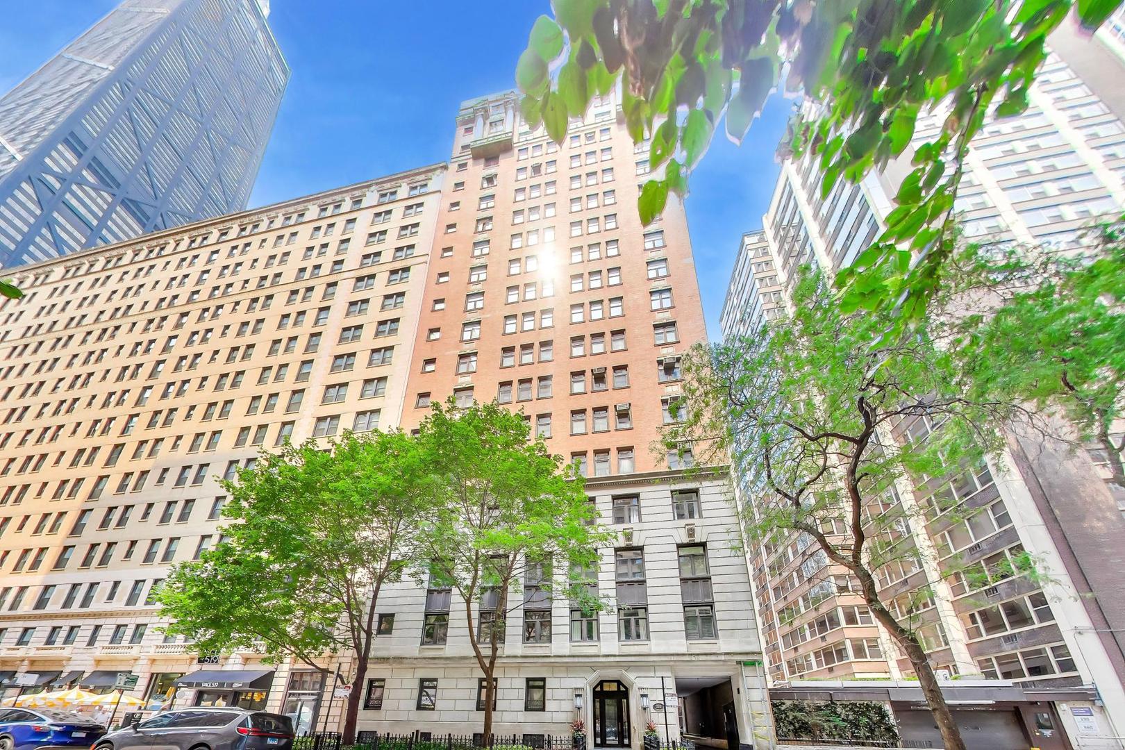 222 E Chestnut Street Unit 9D — photo