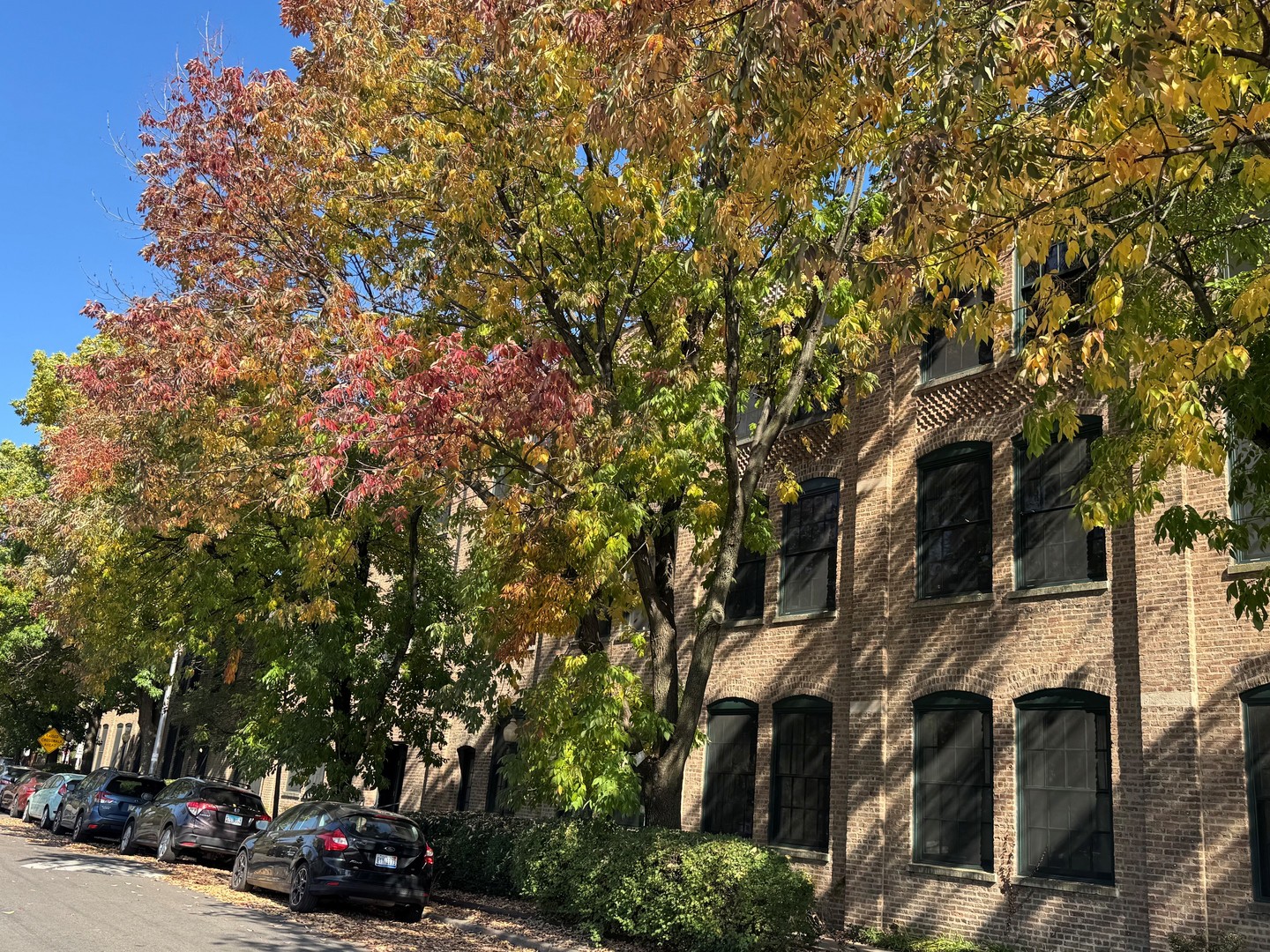 5235 N Ravenswood Avenue Unit 11 — photo