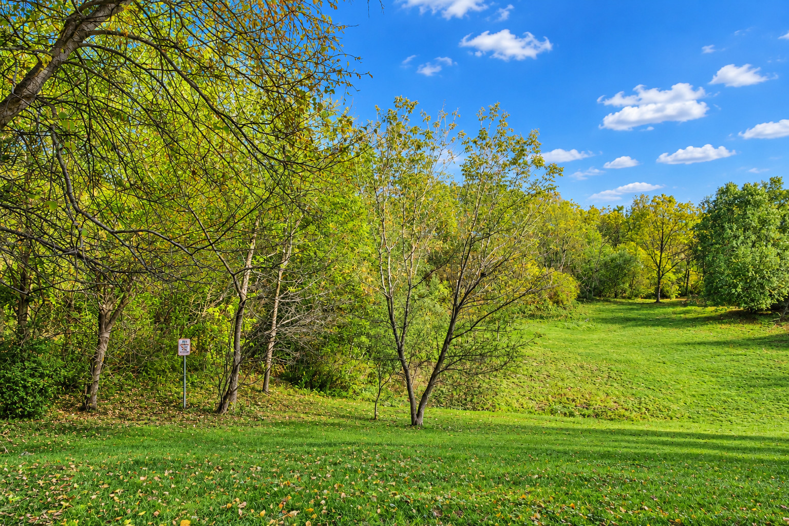 285 Regency Court Unit E, Wauconda, IL 60084 — photo 3