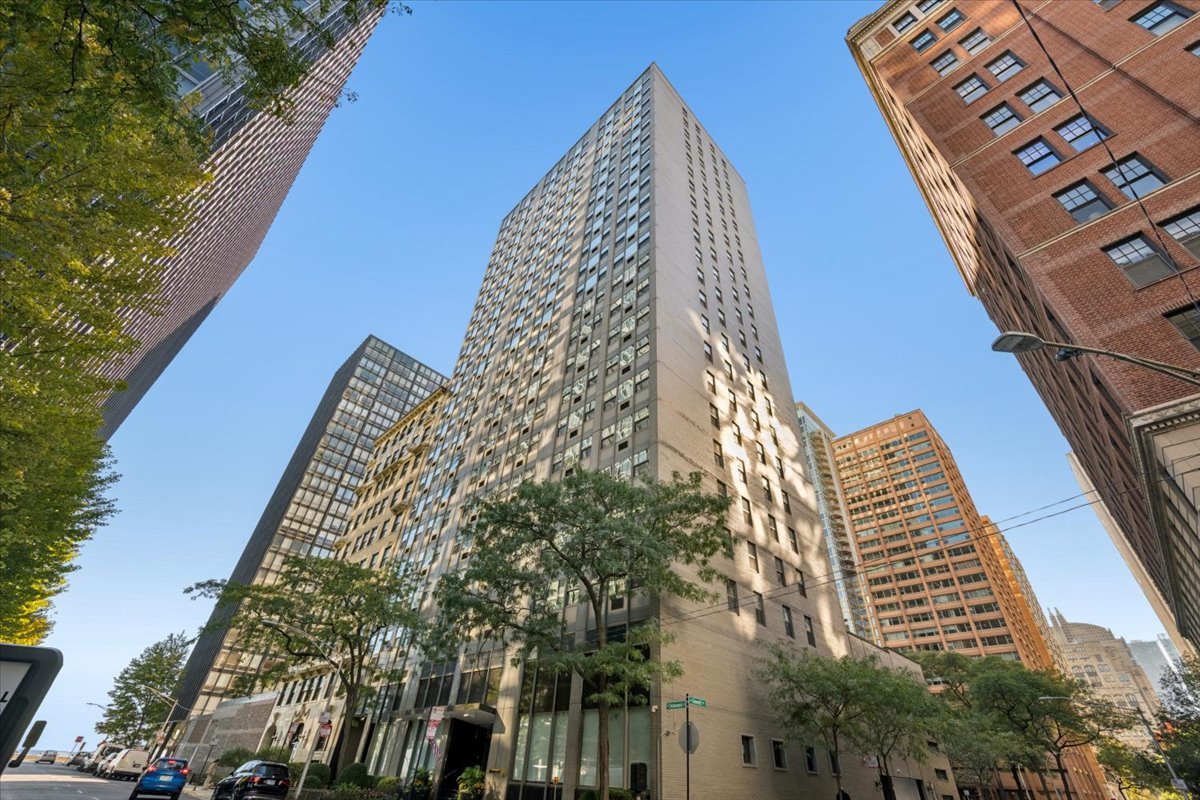 253 E Delaware Place Unit 5H — photo