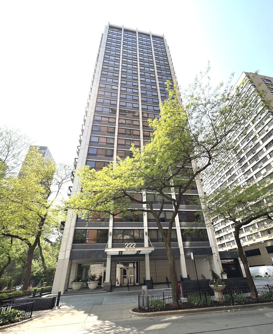 222 E Pearson Street Unit 1107 — photo