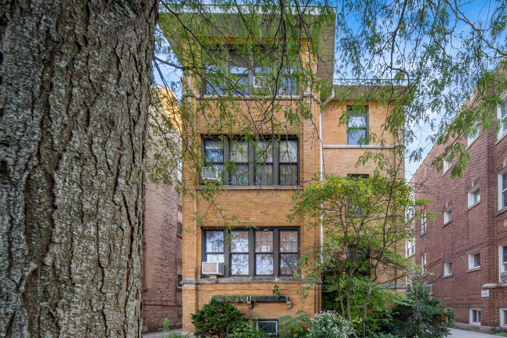 2037 W Morse Avenue Unit 1 — photo