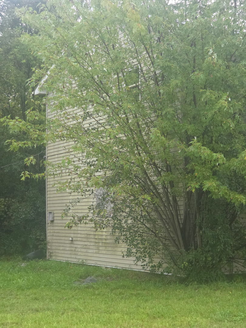 1 E 145th Street, Harvey, IL 60426 — photo 3