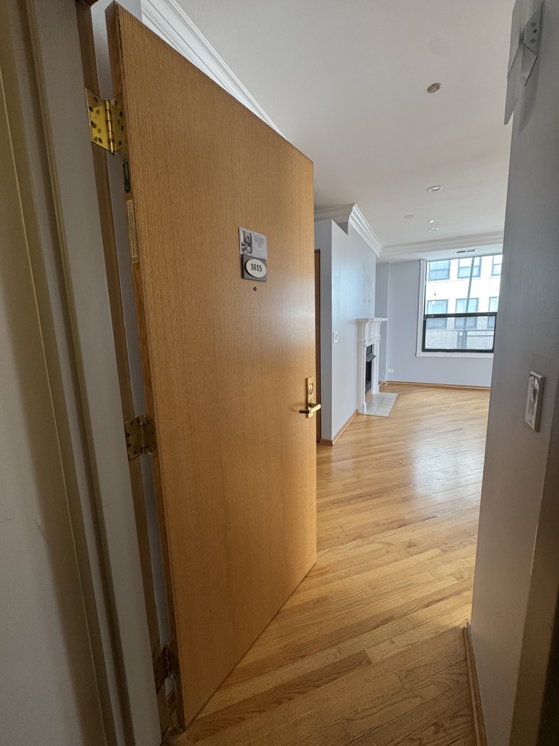 910 S Michigan Avenue Unit 1615 — photo