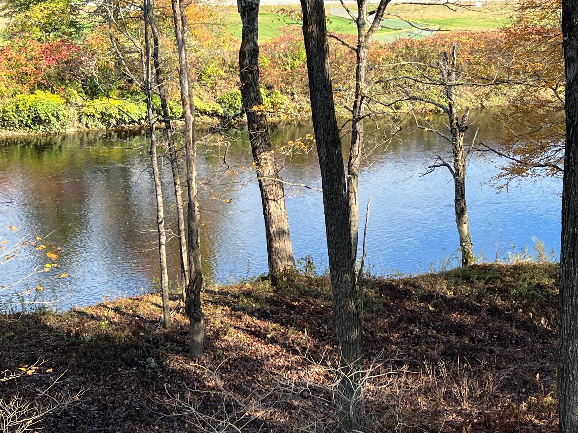 18 Riverside Terrace, Guilford, ME 04443 — photo 2
