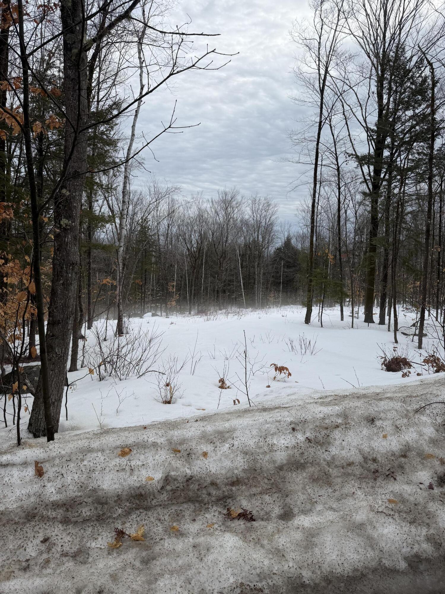 Lot 3 Hancock Pond Rd, Sebago, ME 04029