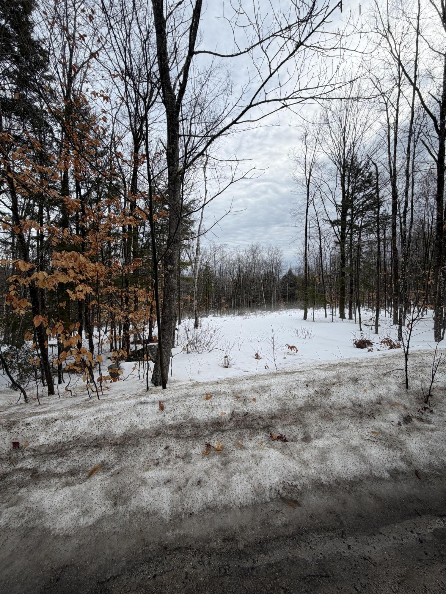 Lot 3 Hancock Pond Rd, Sebago, ME 04029 — photo 2